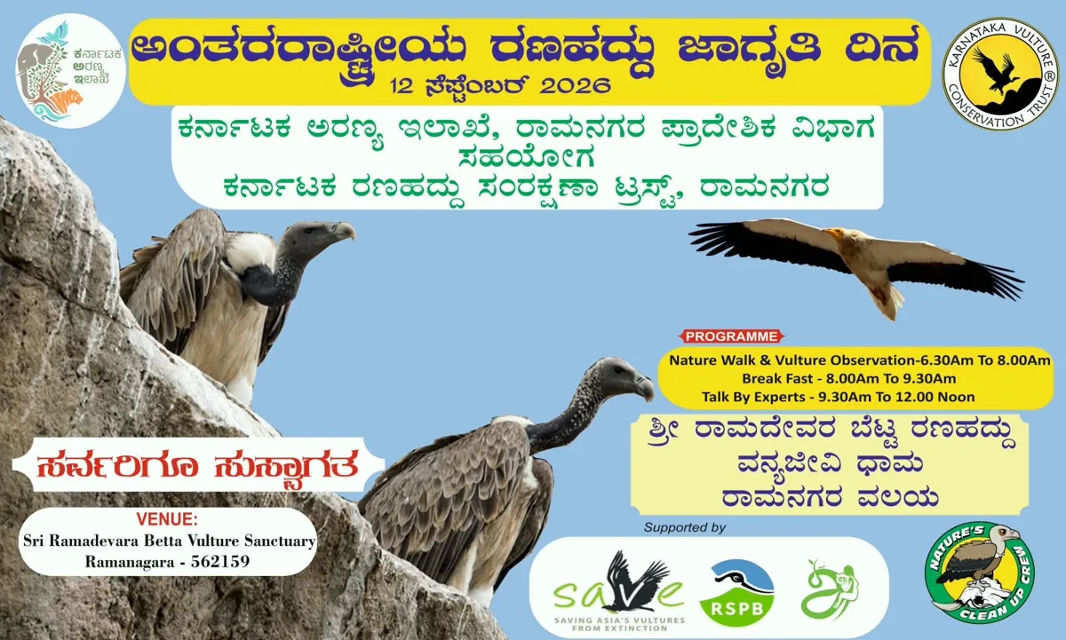 International Vulture Awareness Day - 2026 photo 1