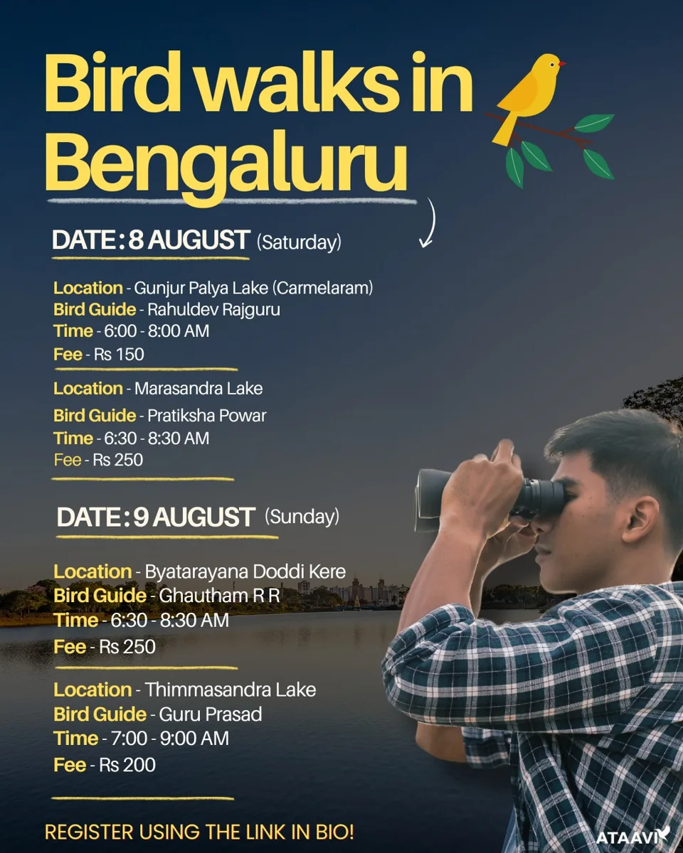 Bird Walks - Gunjur Palya lake, Marasandra lake, Byatrayan Doddi Kere, Thimmasandra Kere (20 slots each) photo 1