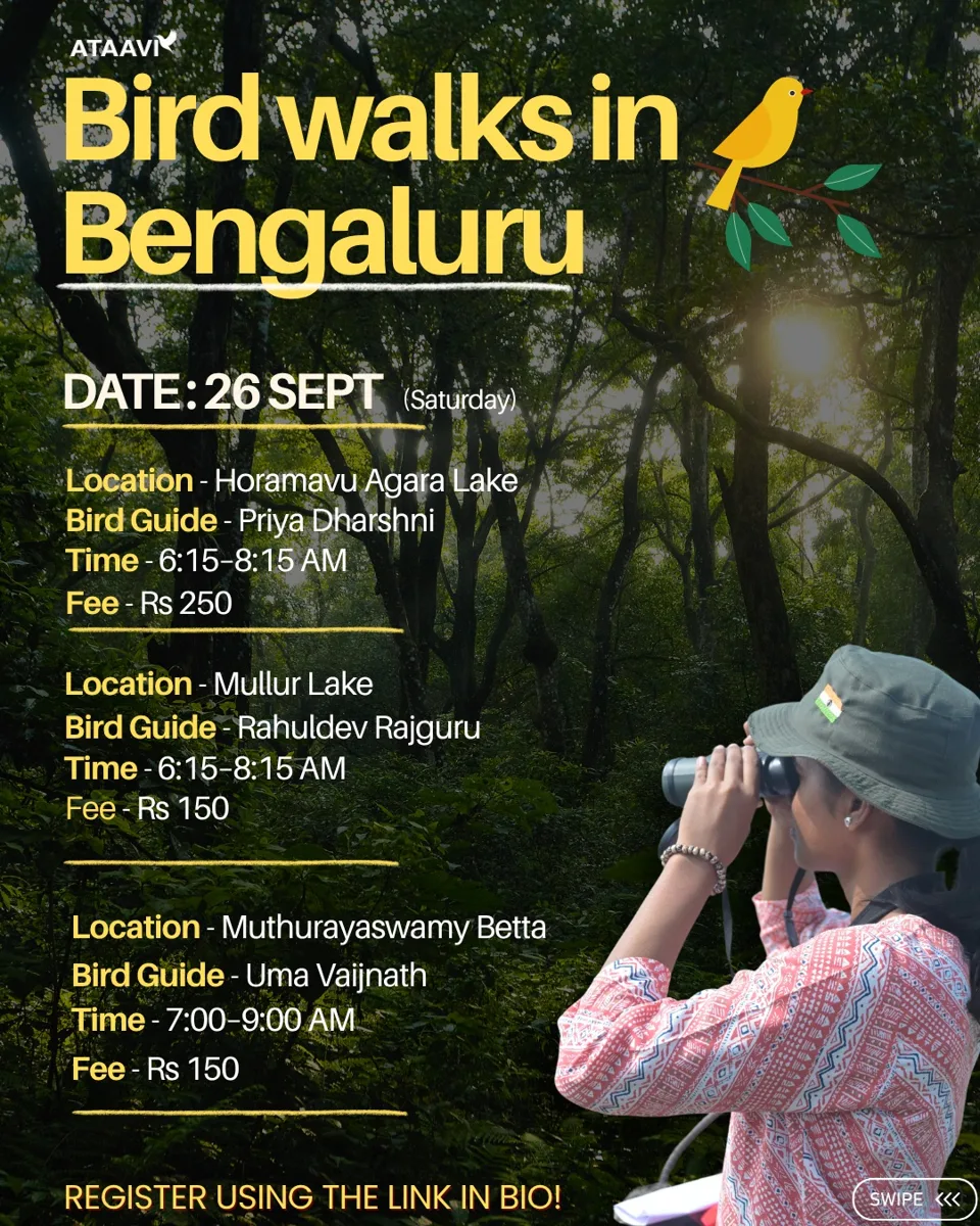 Ataavi Bird Walks - Horamuva Agara Lake, Mullur Lake, Muthurayaswamy Betta photo 1