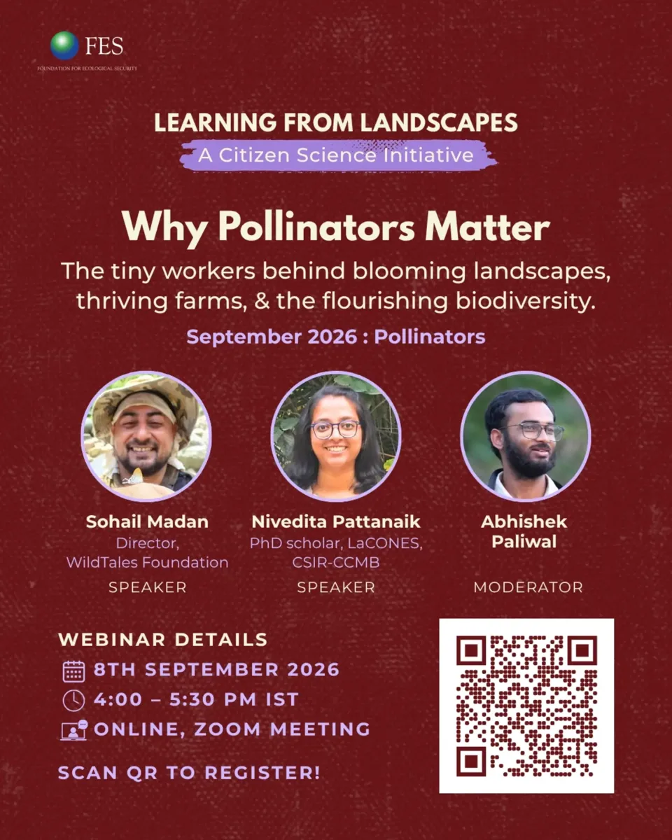 Why Pollinators Matter photo 1