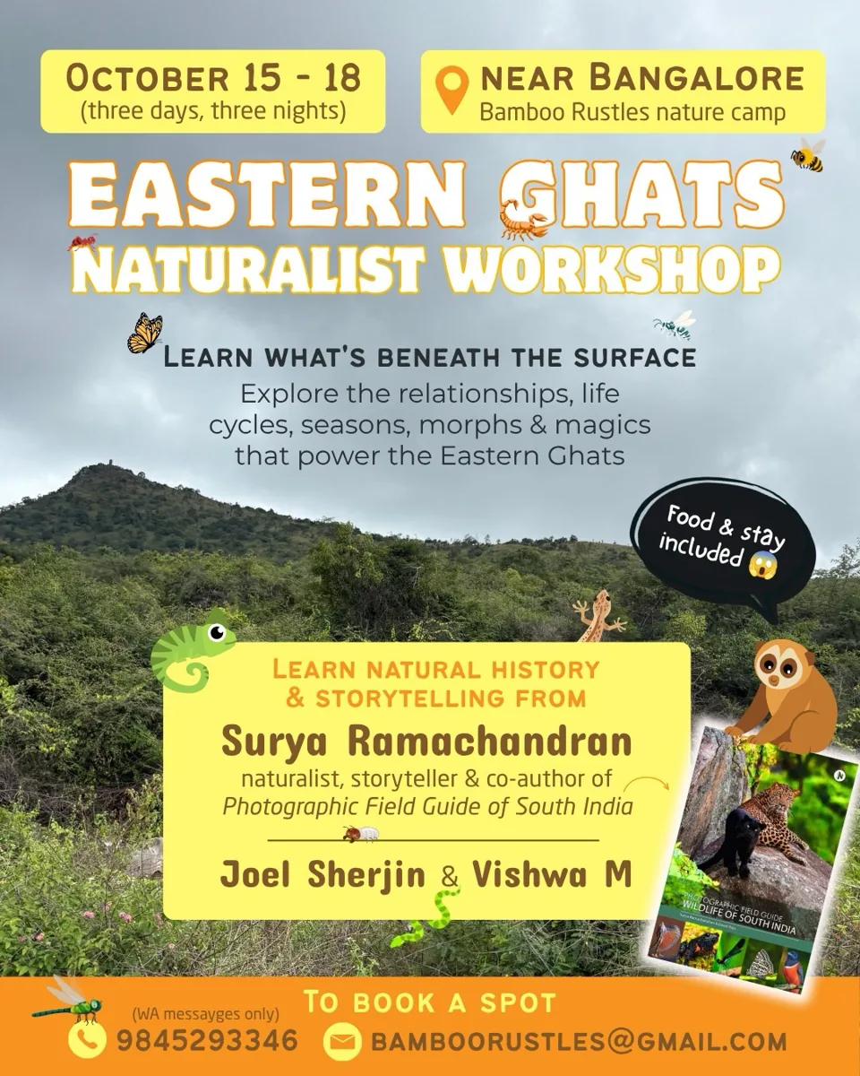 Eastern Ghats Naturalists Workshop photo 1
