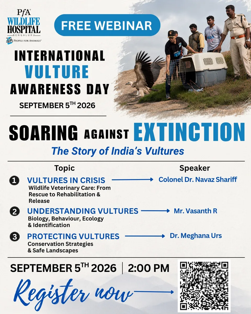 Soaring Against Extinction: The Story of India’s Vultures photo 1