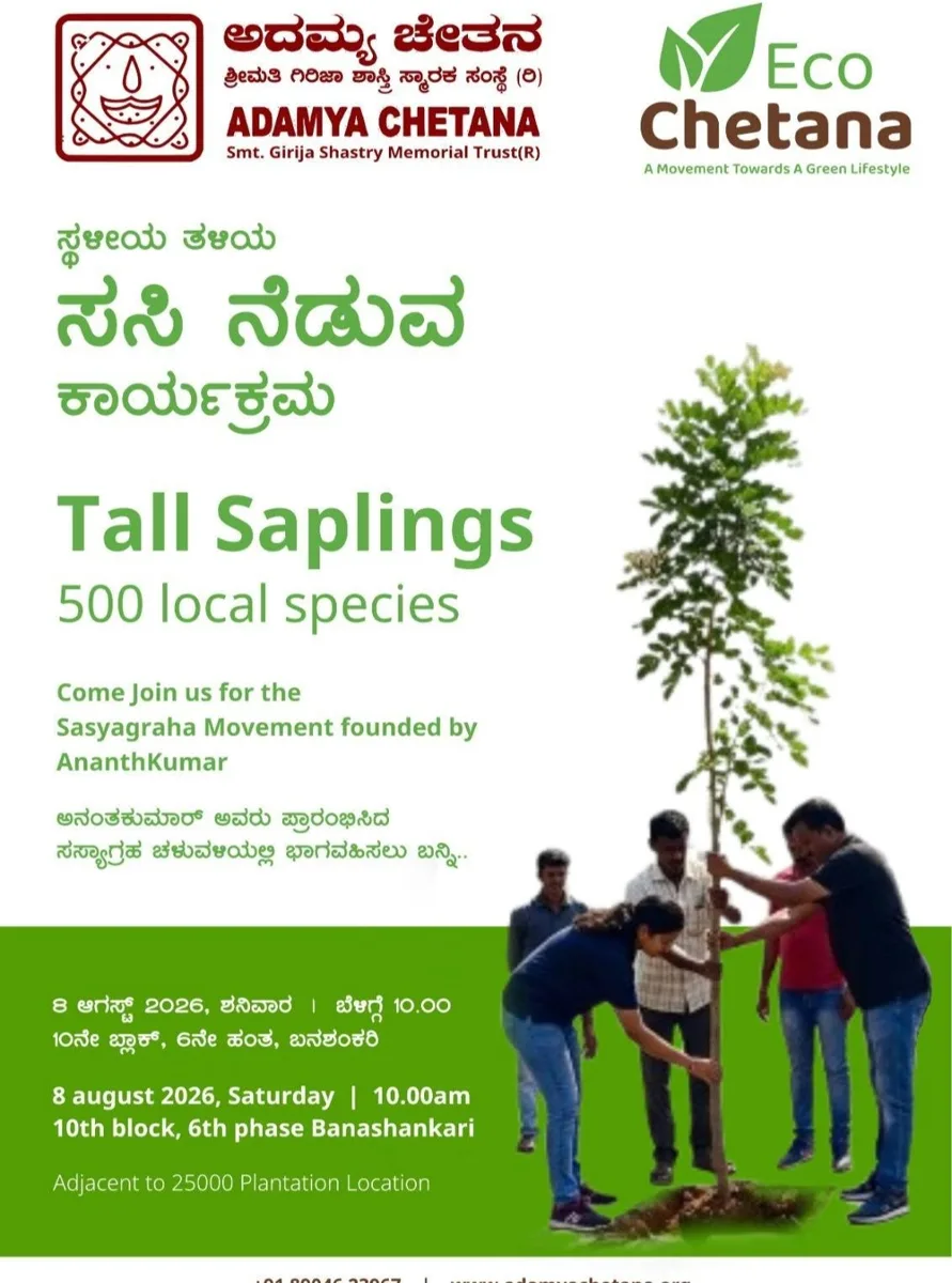 Tall Saplings - 500 Local Species photo 1