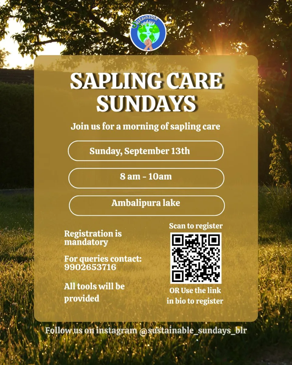 🌱 Sapling Care by Sustainable Sundays photo 1