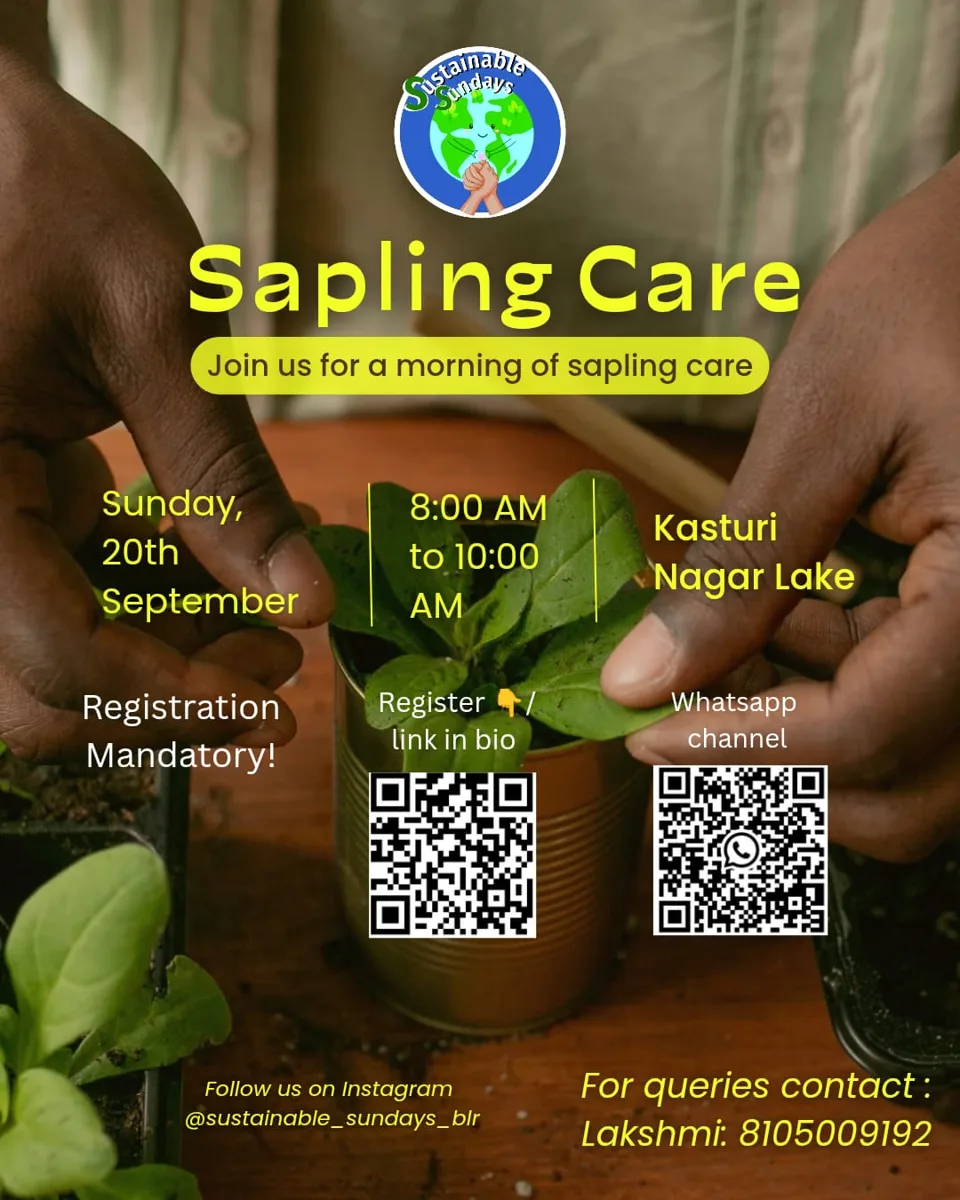 🌿 Sustainable Sundays x Sapling Care Sundays 🌱 photo 1