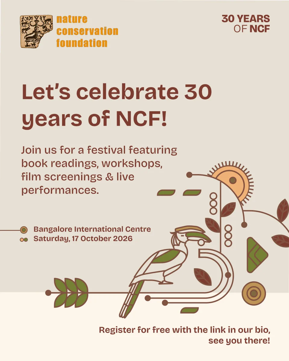 30 Years of NCF photo 1