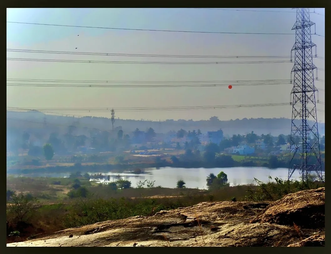 Bird Walk at Byatrayana Doddi Kere (Bannerghatta road), Bengaluru photo 2