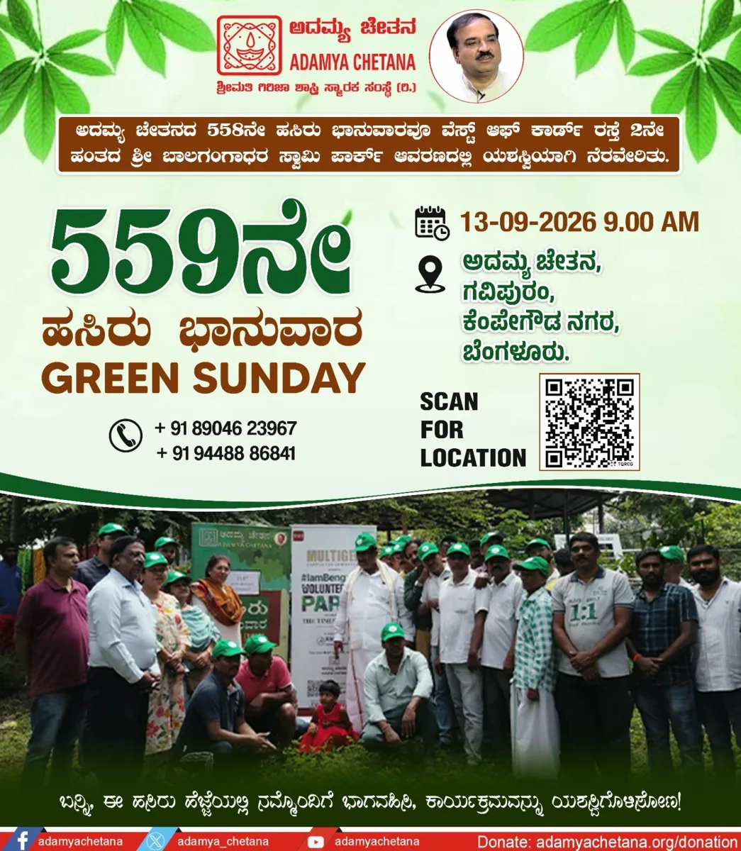 559th Green Sunday photo 1