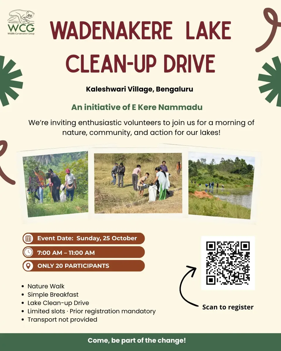 Wadenakere Lake Cleanup Drive photo 1