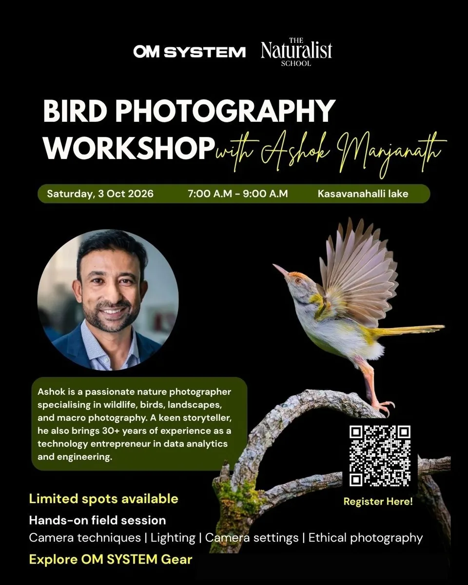 Bird Photography Workshop photo 1