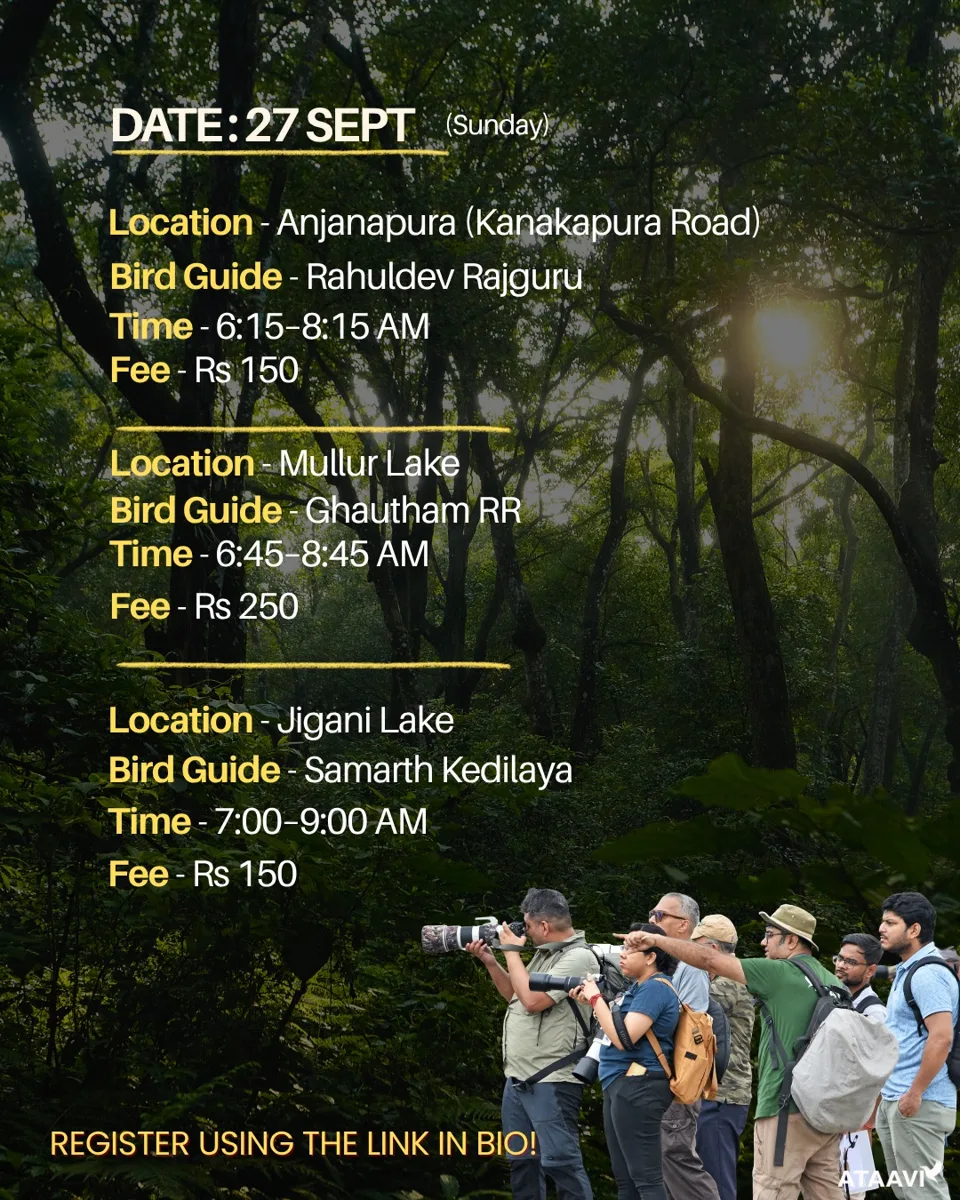 Ataavi Bird Walks - Anjanapura, Mullur Lake, Jigani Lake photo 1