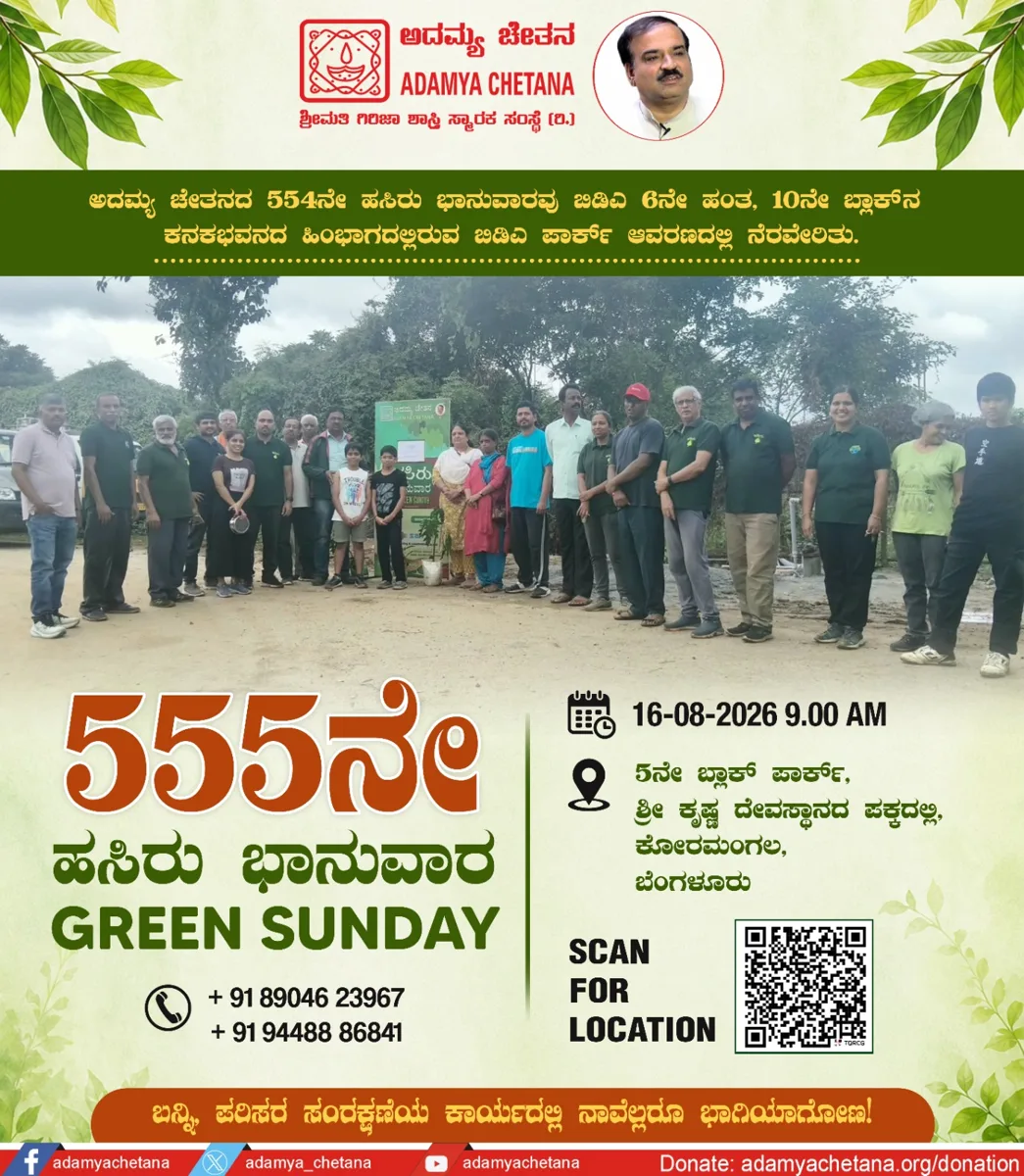555th Green Sunday