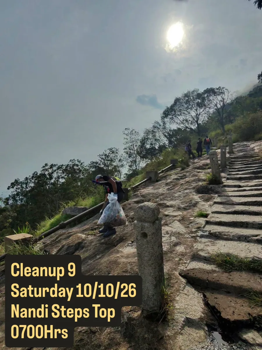 Cleanup 09 Nandi Steps Top photo 1