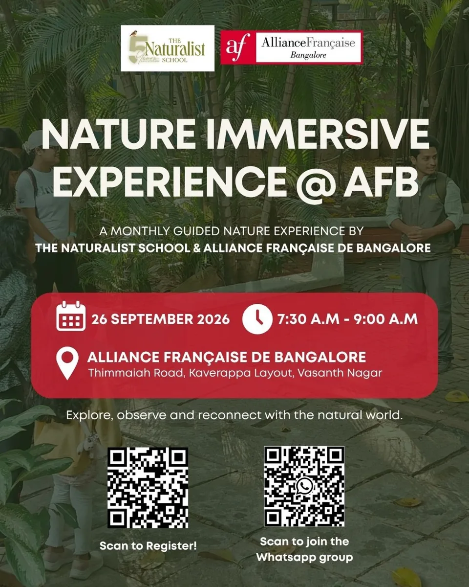 NAture Immersive Experience @AFB photo 1