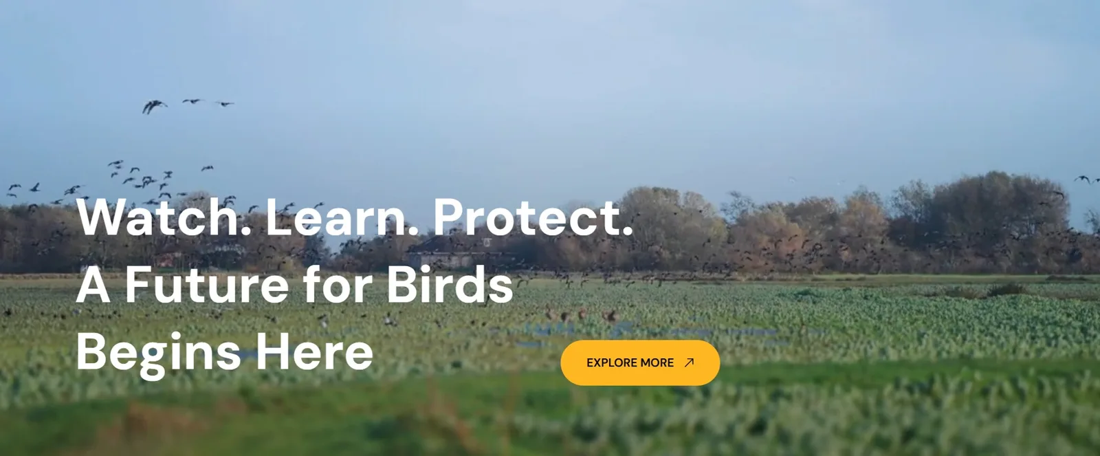 Ataavi Bird Foundation cover
