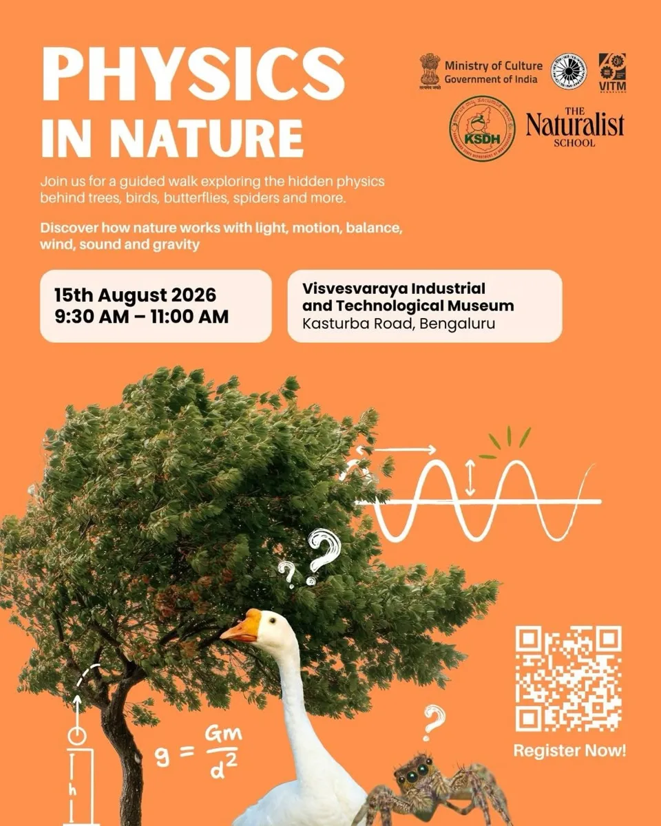 Physics in Nature photo 1