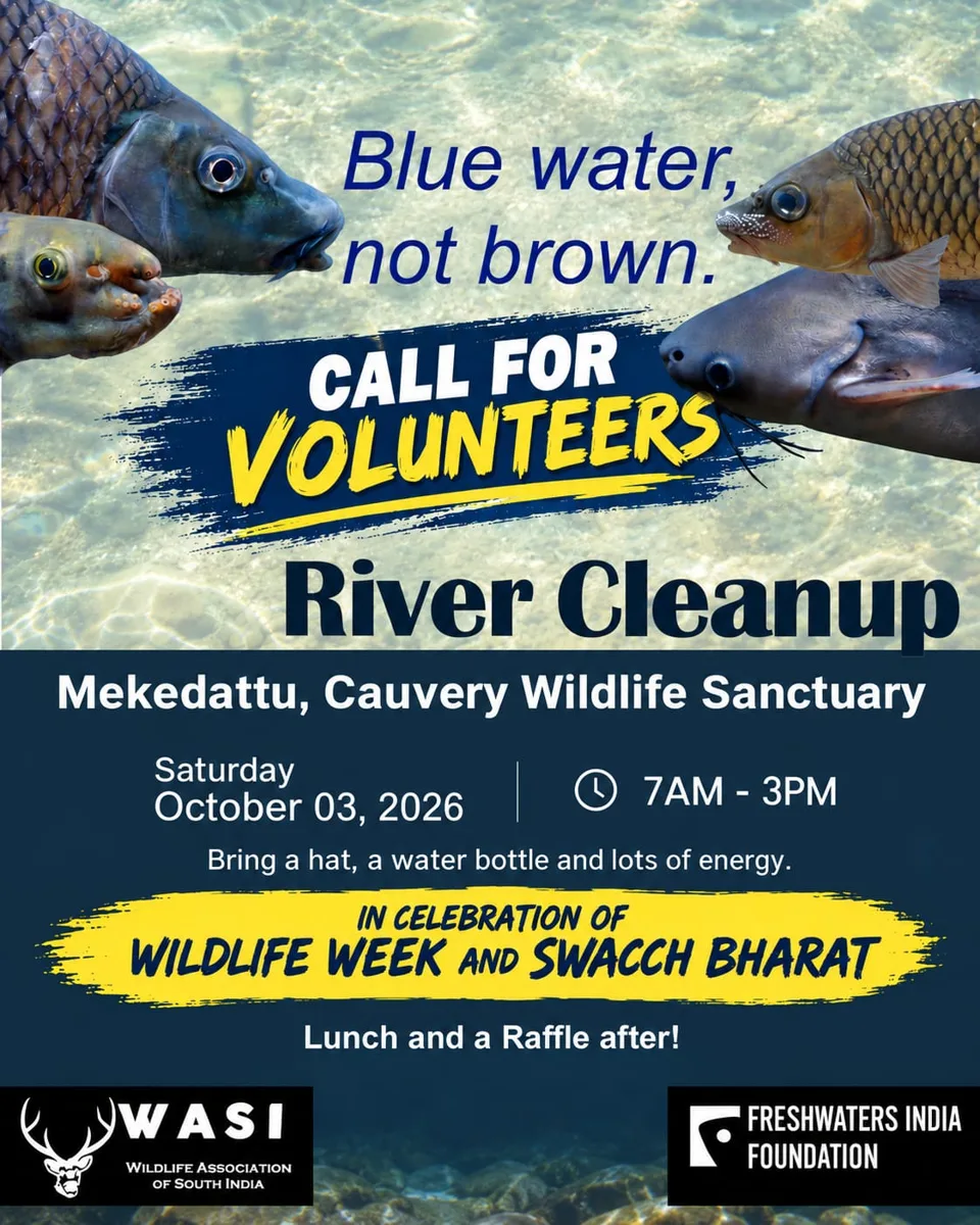 Call For Volunteers - River Cleanup photo 1