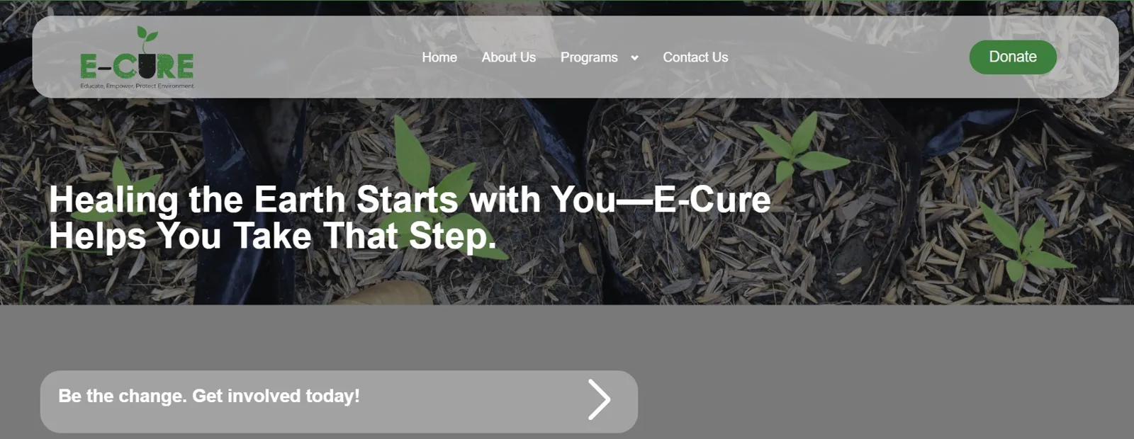 E Cure 45 cover