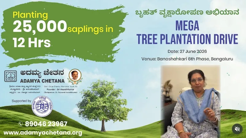 Join the Mega Green Milestone! Celebrate 10 Years of Green Sunday ๐ฟ photo 1