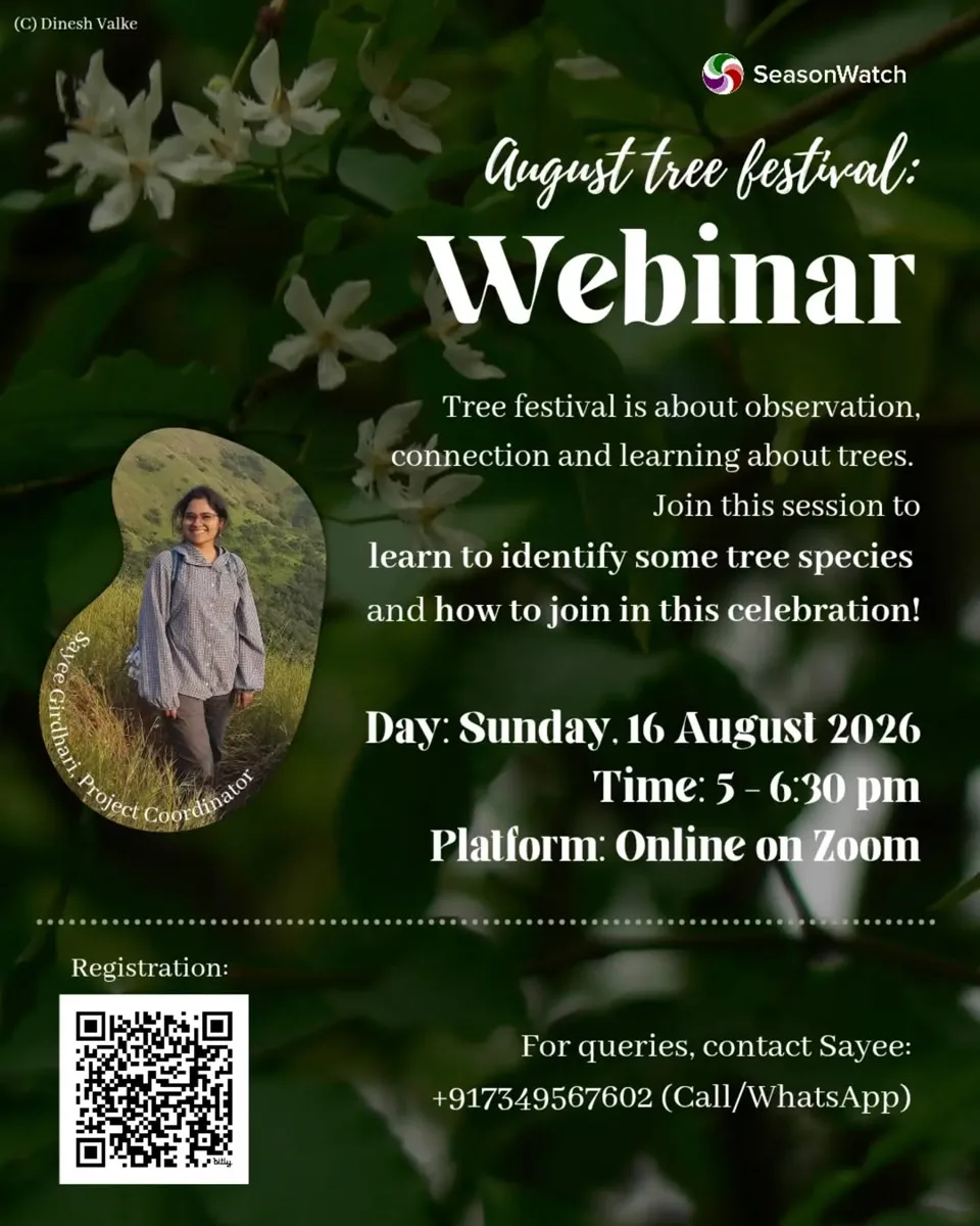 August Tree Festival: Webinar