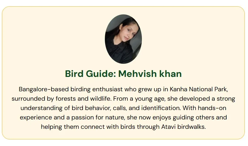 Bird Walk at Saul Kere photo 2