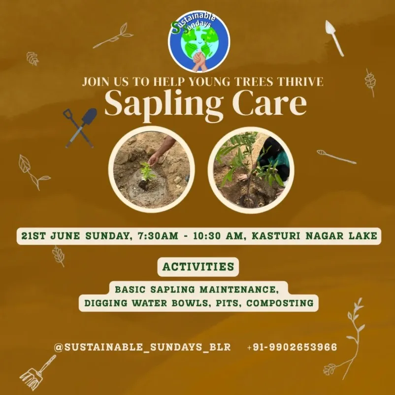 Sapling Care this Sunday at Kasturi Nagar Lake photo 1