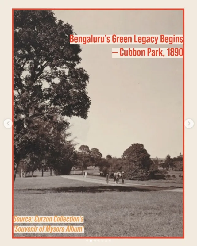 Cubbon Park Narratives - Book Launch & Panel Discussion photo 4