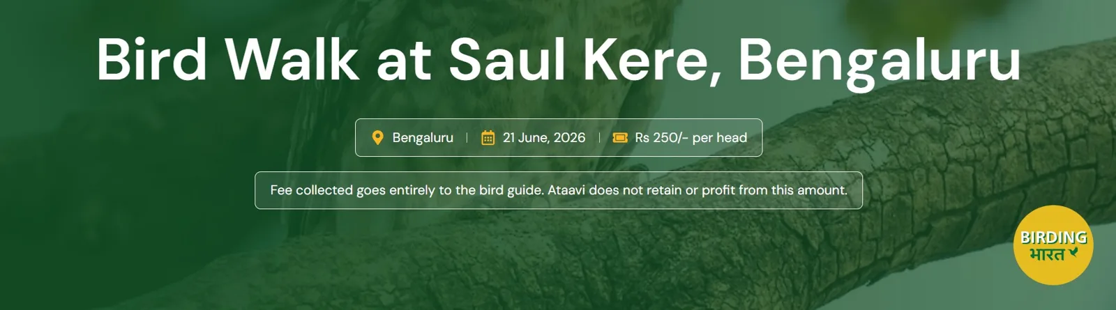 Bird Walk at Saul Kere photo 1