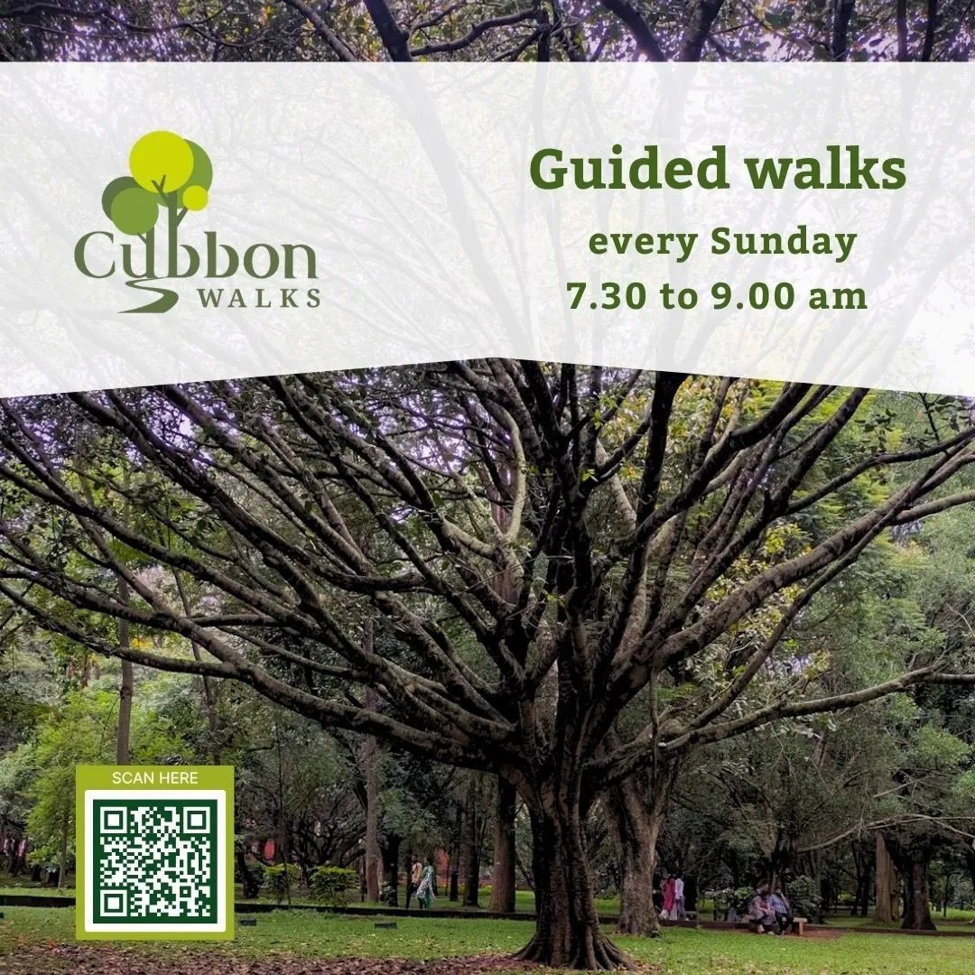 Cubbon Walks photo 1