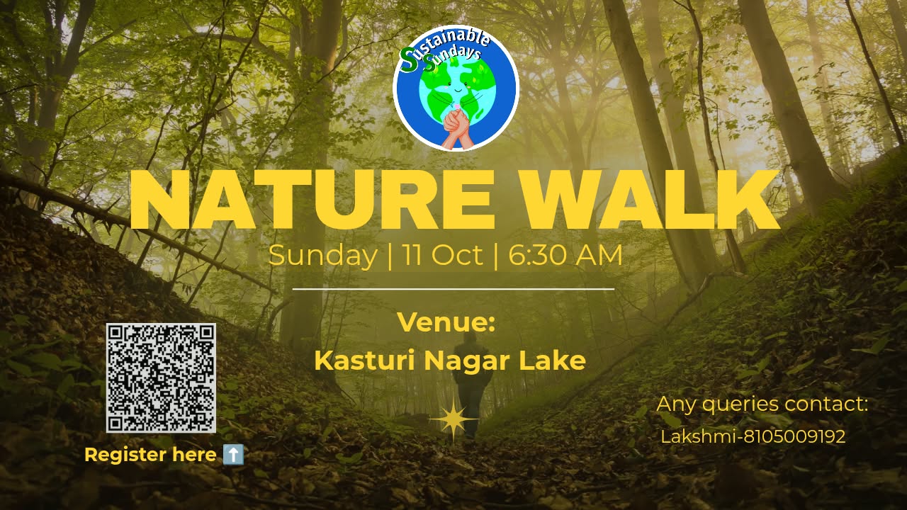 Nature Walk photo 1