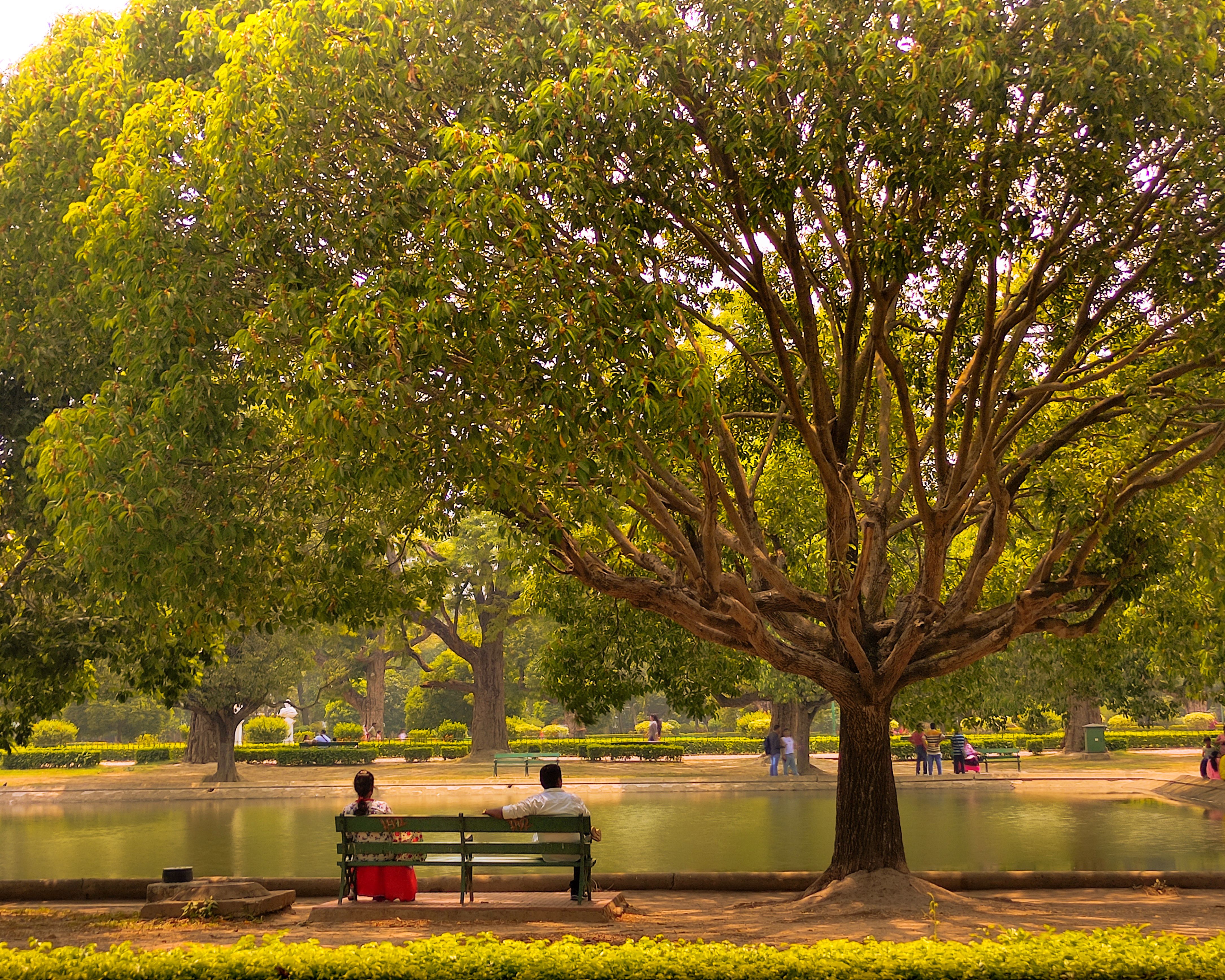 Park Transformation at Konanakunte photo 1