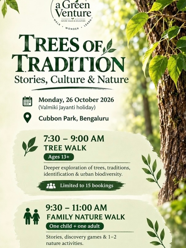 Trees of Tradition photo 1