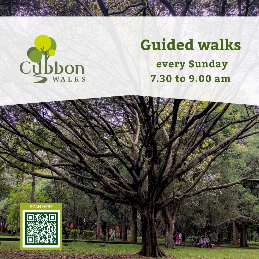 Guided Walks photo 1